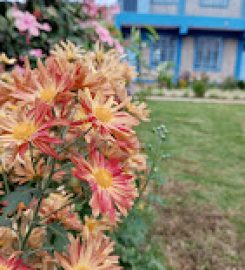 Joy children's home-Ruiru