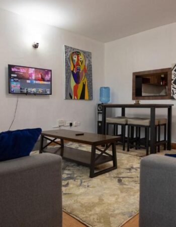Cozy Executive 2 Bedroom Apartment with fast wi-fi and working station