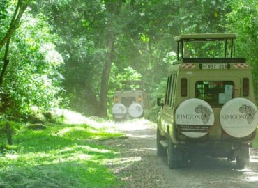 Kimgoni Tanzania Safaris
