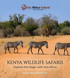 Axis Africa Safaris
