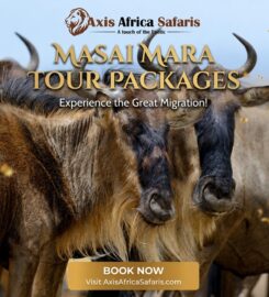 Axis Africa Safaris