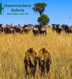 Gametrackers Safaris